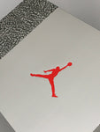 AJ3 RETRO "COOL GREY" (SIZE 10.5)